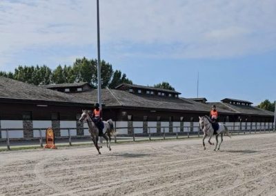 926097af 278c 4a8e 8d39 276a5d9d0d6b