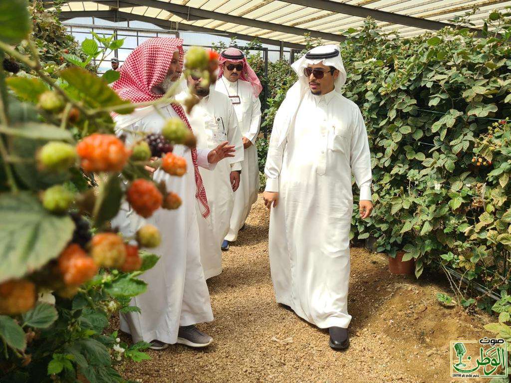 بعد زيارته للمزرعة الإرشادية النموذجية مدير عام بيئة عسير: اختيار المزرعة كأكبر مزرعة مستدامة في العالم إنجاز جديد باس الوطن 37 IMG 20231017 WA0141