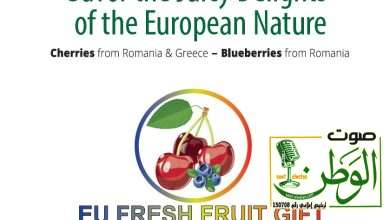 حملة هدية من الفواكه الطازجة تقيم فعالية حصرية في دبي 3 IMG 20231025 WA0092