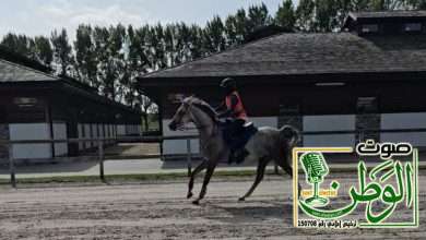 caf7cad9 63d7 43fe 999a 4bce406cd48c