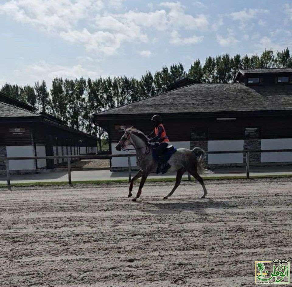 caf7cad9 63d7 43fe 999a 4bce406cd48c