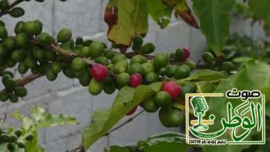 c64decd2 8cf2 4472 80cd 0124371f28f3