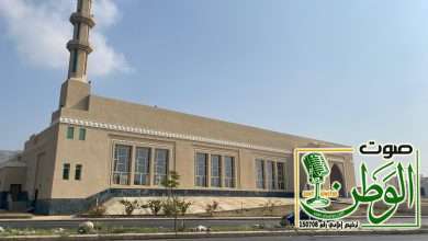 ace564d6 038d 4688 b611 07eb418ff24e