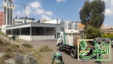 3f6fa17b ba16 496e a533 d744637b8dd1