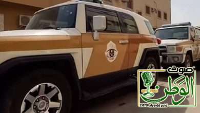 «الداخلية»: ضبط 17,030 مخالفًا لأنظمة الإقامة والعمل وأمن الحدود في أسبوع 16 2389255