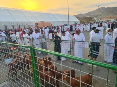 c43a267b d718 474c 86e5 7bf551c20e2c