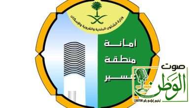 أمين عسير يوجه بتطبيق الإنارات الصحيحة في مهرجانات وفعاليات عسير المؤقتة 5 IMG 20240612 WA0099