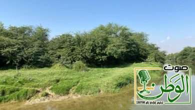 789a05c2 a1be 49bc b767 8719f624a117