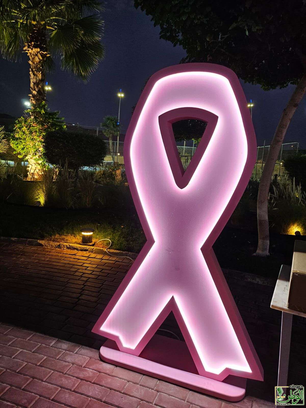 منتجع الفروسية العالمي بالتعاون مع جمعية زهرة يقيم الفعالية التوعوية لسرطان الثدي. 1 IMG 20241024 WA0168