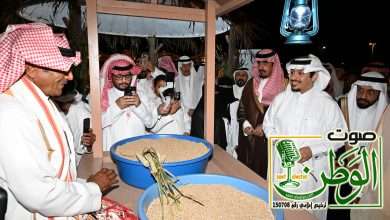 01ab1121 e4c5 4e3f ad1e 5edcc64a7910