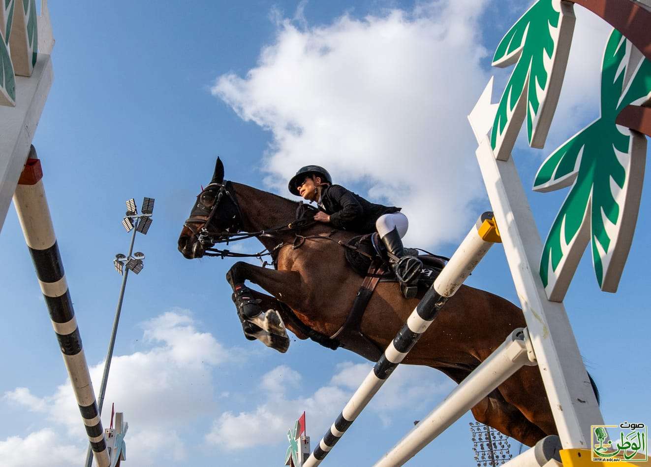 جدة تحتضن بطولة "دريفت 25" الدولية لقفز الحواجز بجوائز تتجاوز المليون ريال 5 IMG 20250102 WA0148