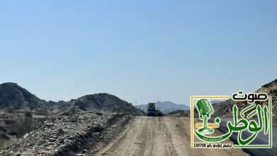 c9bef1a9 c730 4dc0 8175 6b13c1bed430