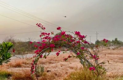 جولة ترفيهية مميزة للمتطوعين بالتعاون مع ميدان ركن الأصالة للفروسية بالعارضة 25 IMG 20250721 WA0089