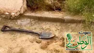 الشؤون الإسلامية تكشف اختلاس كهرباء مسجد بمنطقة جازان من أحد المقيمين لتشغيل منزله بالكامل، وتزيله فورًا وترفع القضية للجهات المختصة 17 IMG 20250828 WA0104