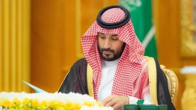 rb1cRRt2DWeExi1dY5jF3z3sbtYzbgTYEOk2KZWn